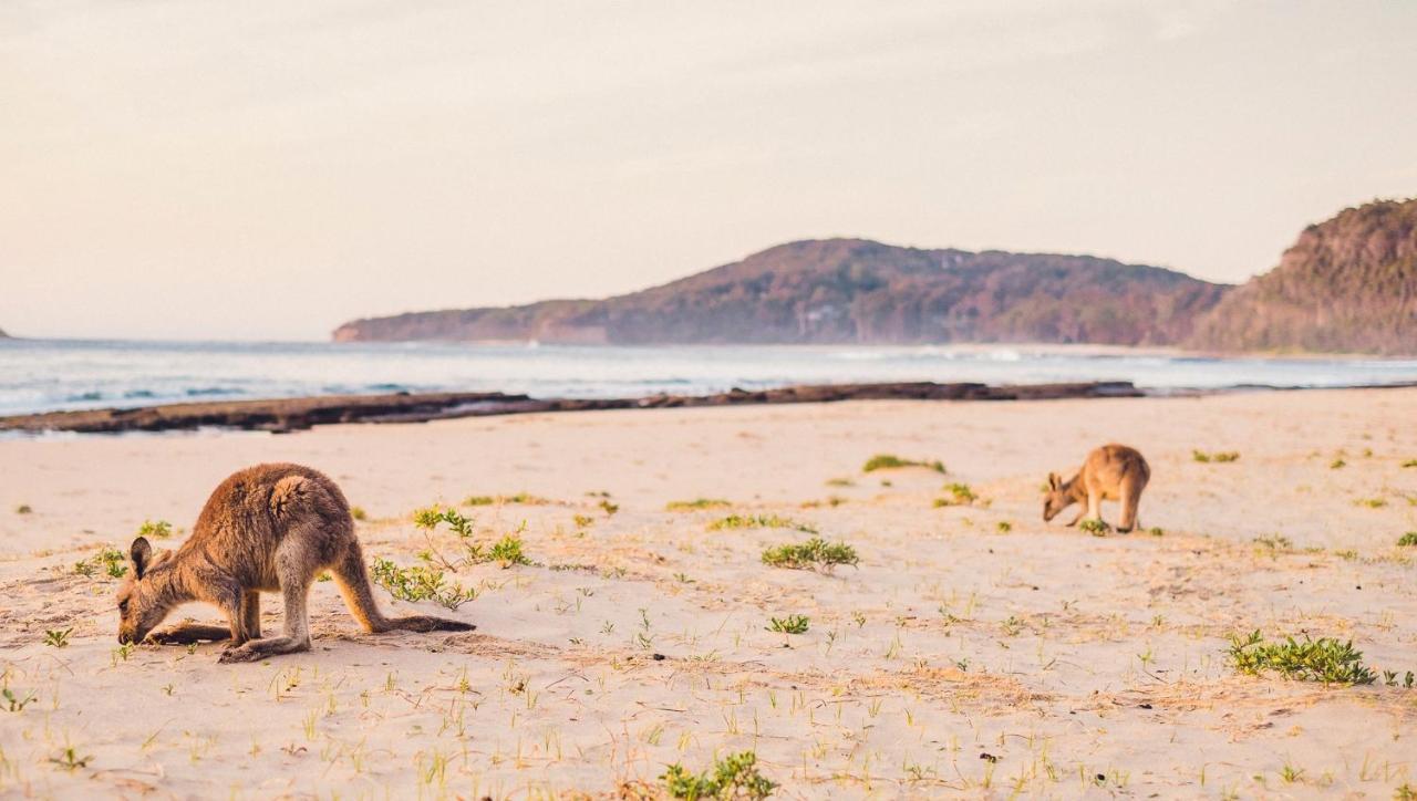 Pebbly Beach Escape East Lynne Bagian luar foto