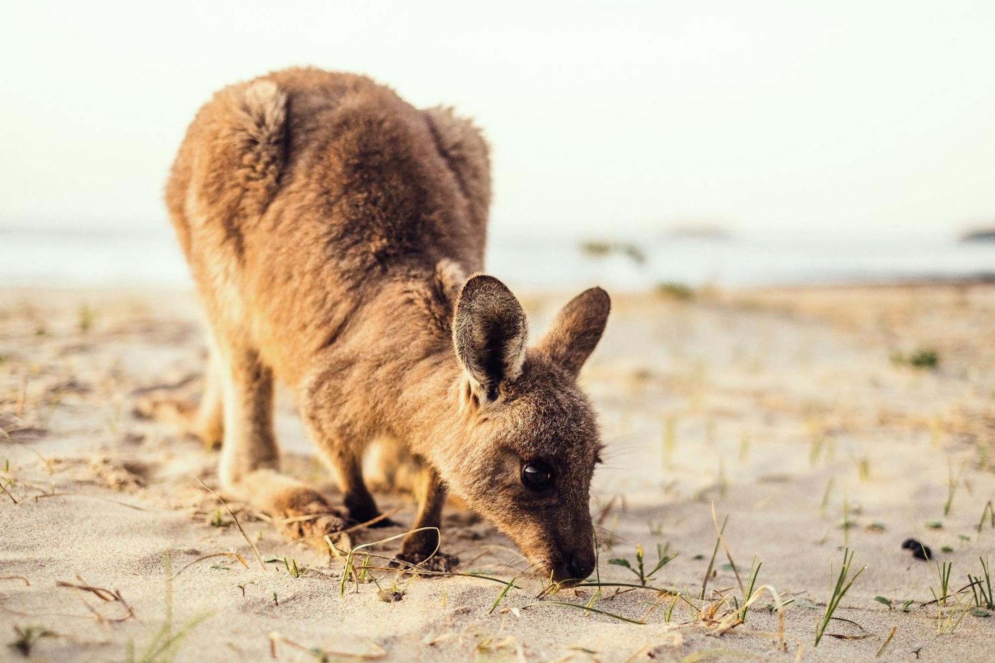 Pebbly Beach Escape East Lynne Bagian luar foto
